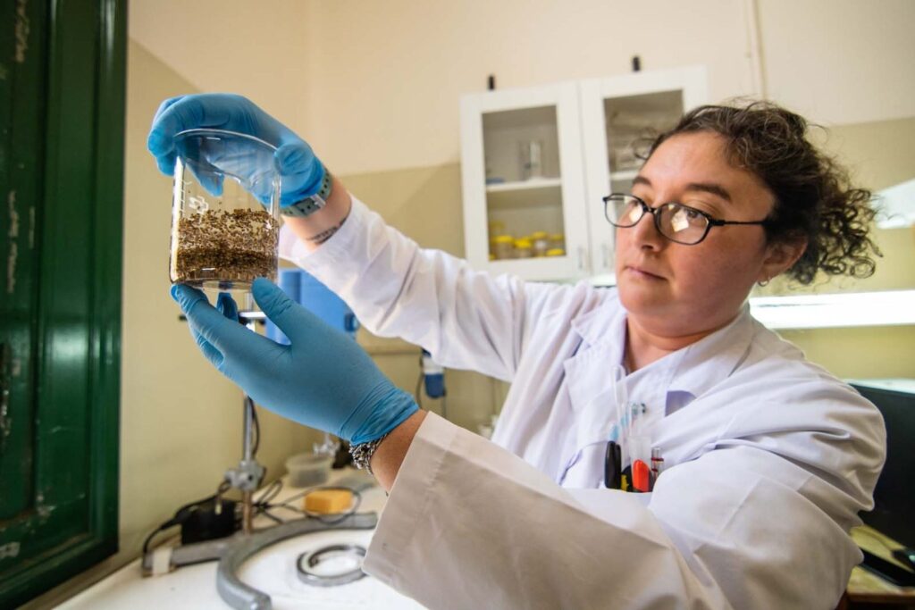 El centro científico y tecnológico celebra 33 años de innovación científica, con más de 150 profesionales dedicados a la investigación, desarrollo y transferencia tecnológica al sector productivo cordobés.